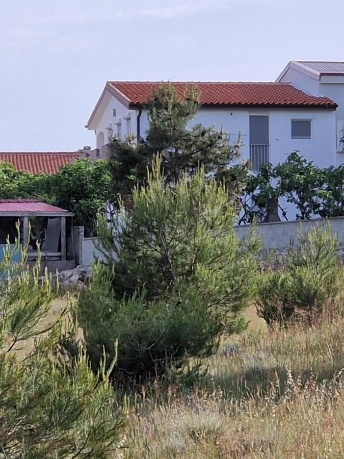 Apartments Ema Vir Exterior foto